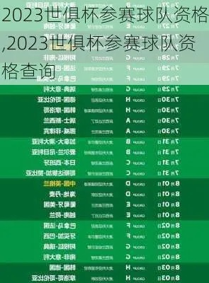 2023世俱杯参赛队伍名单曝光（哪些球队将代表国家征战世界舞台）