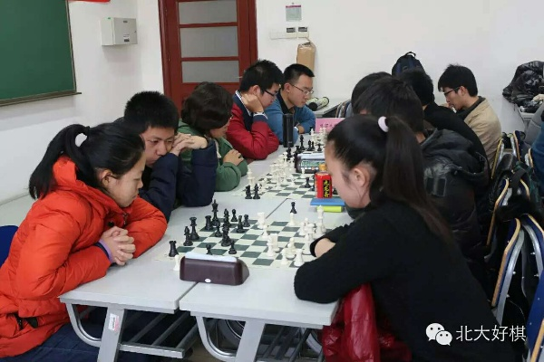 北京大兴国际象棋比赛精彩回顾-第3张图片-www.211178.com_果博福布斯