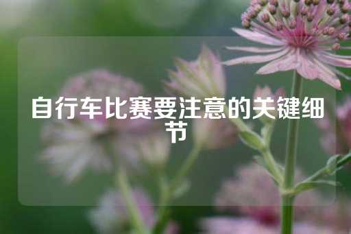 自行车比赛要注意的关键细节