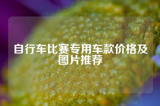 自行车比赛专用车款价格及图片推荐